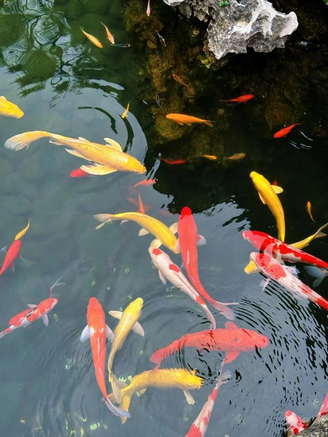 8月，「渴望自由，像治不好的病」（上）
