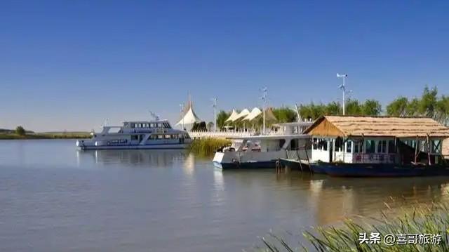 松原莲花源：塞北江南的千亩莲海与湿地秘境