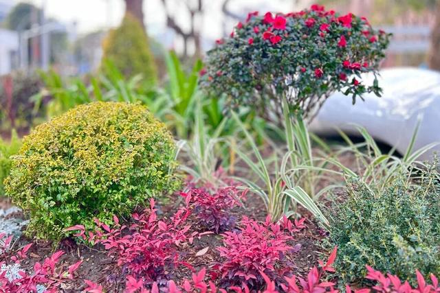 纪念中央特科成立98周年！四川北路上新一座红色文化与绿色生态融合的口袋公园