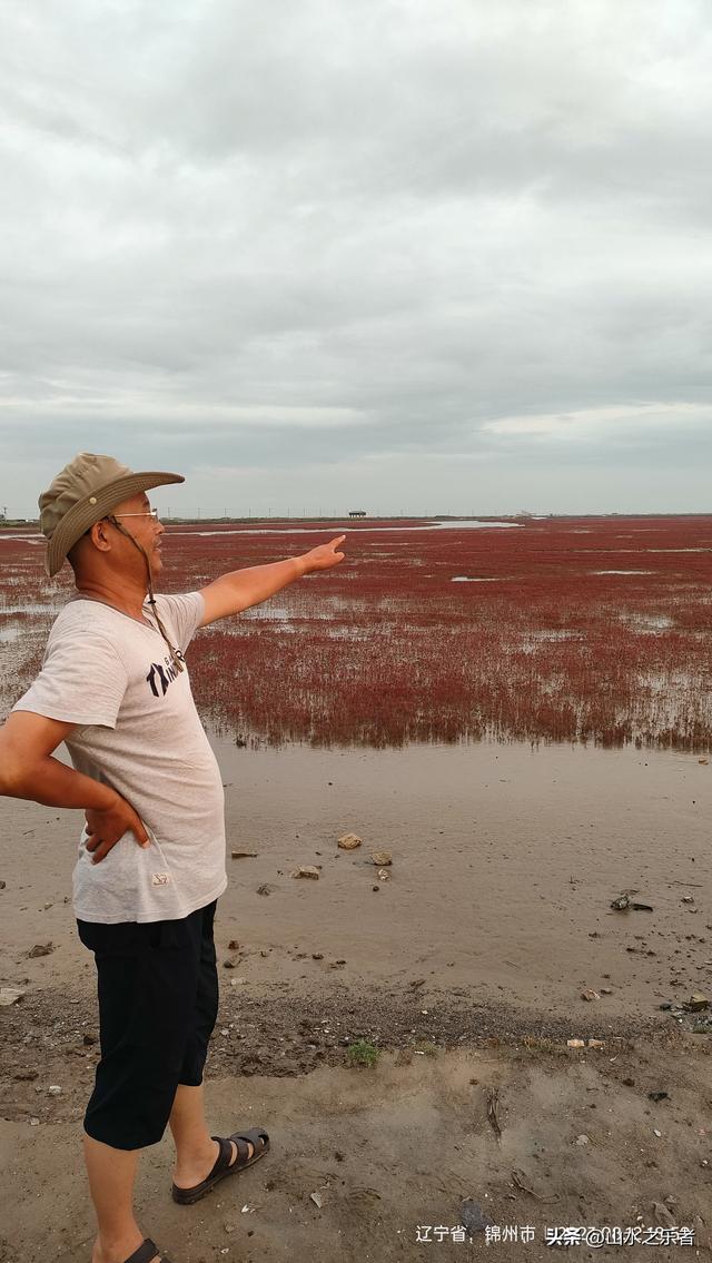 环游大东北之漫步锦州凌海红海滩