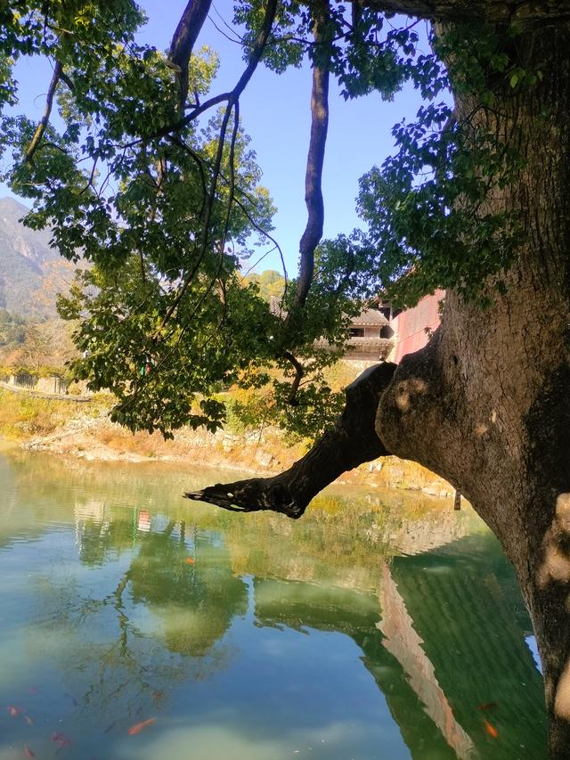 瓯越风情（二）：泰顺·廊桥遗梦与山乡暖意