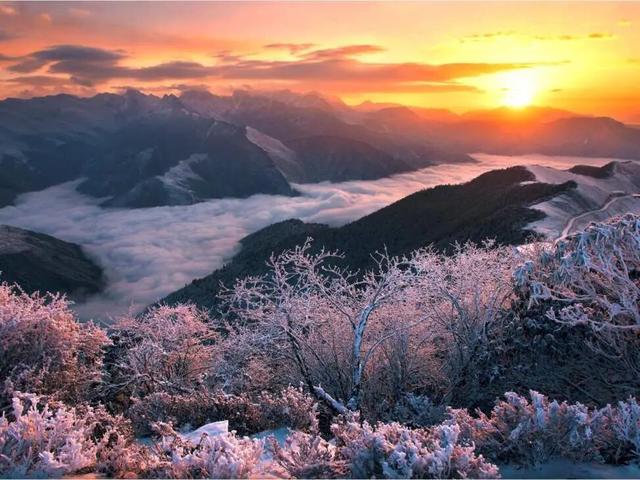 免票！5折！2025秋假大礼包特惠来啦！多重惊喜等你解锁→