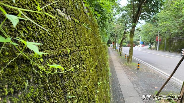 探秘福建农林大学苍山校区：不只是颜值爆表！