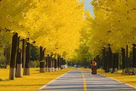 时不至，不可强生；事不究，不可强成。凡事都有定数，不能强求！图片