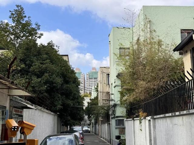 徐汇漫游新玩法！这条宝藏线路带你读懂百年银幕