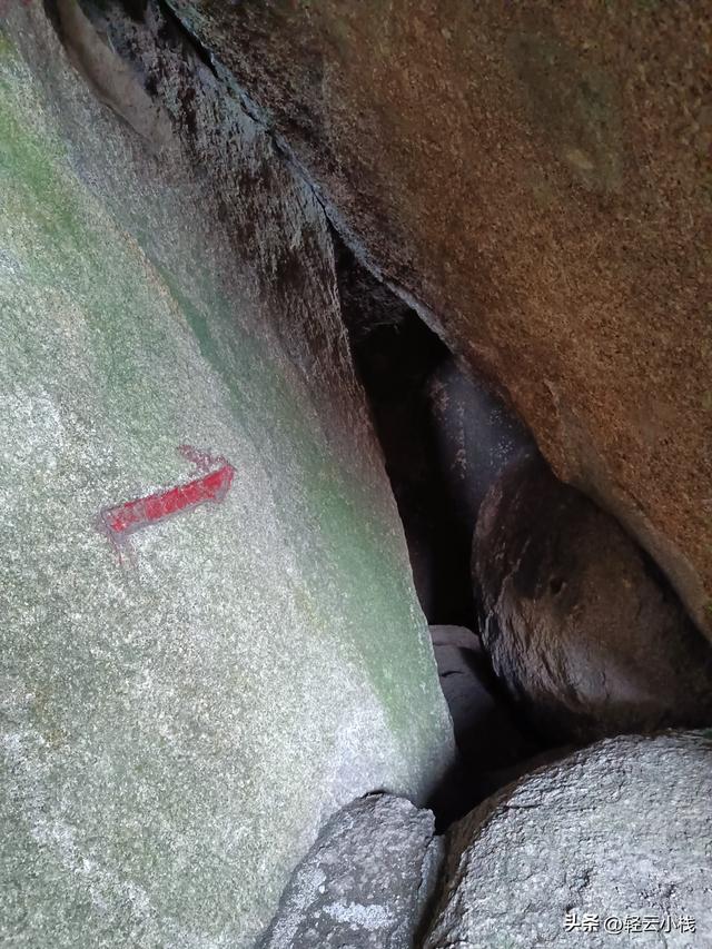 爬灵山石树感触到的（一）