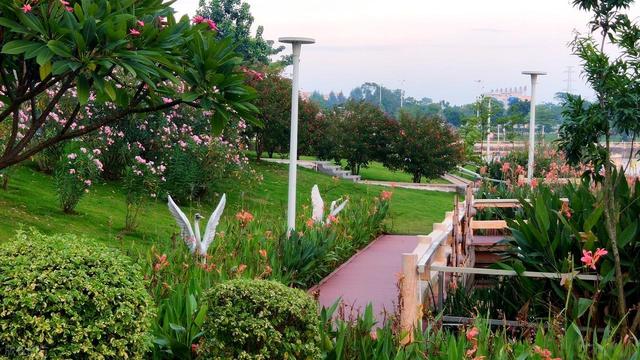 去外地旅游，要不要联系老同学？