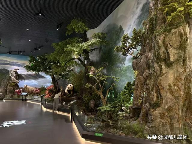 常被路过的雅安，值得专门去玩一趟