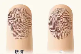 俗语“十指无斗，一世富有”，你的手指有几个“斗”？图片
