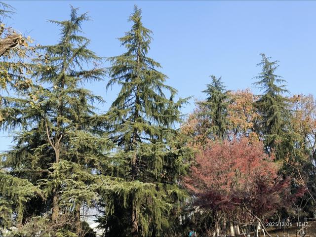 行走在月湖公园