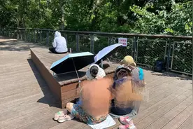 公园晒背、广场舞噪声、“蒸笼”屋顶…夏令热线聚焦后续图片