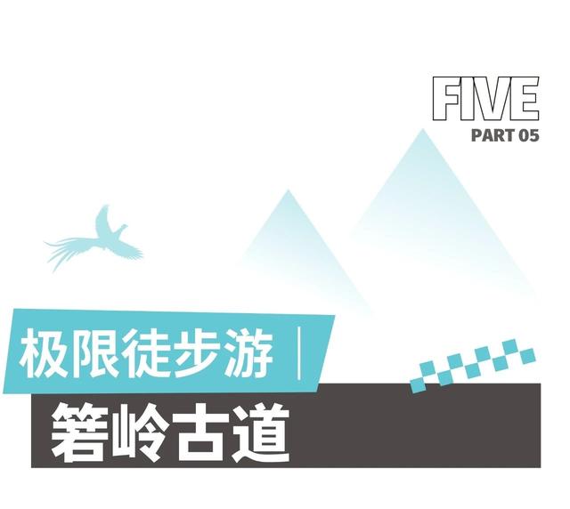 趣清凉·享太平 | 从“人从众”到“躺进山野”！东黄山让这届年轻人上头了！|皖美夏日