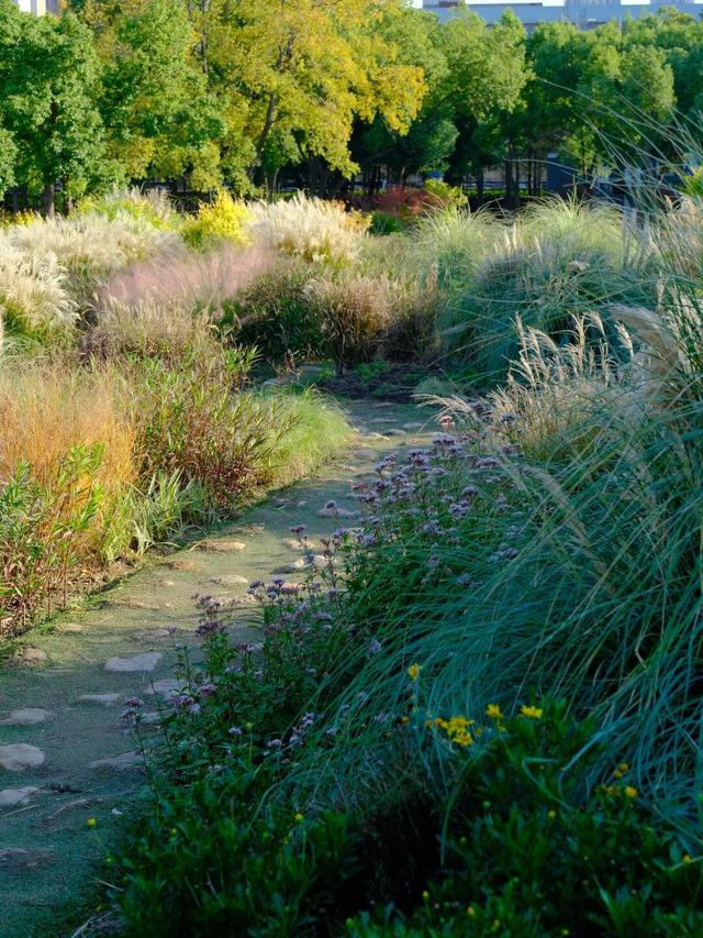 周末N次方 | 打开这份江汉赏秋图鉴→