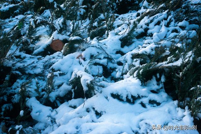 晨晓微曦的雪棱光