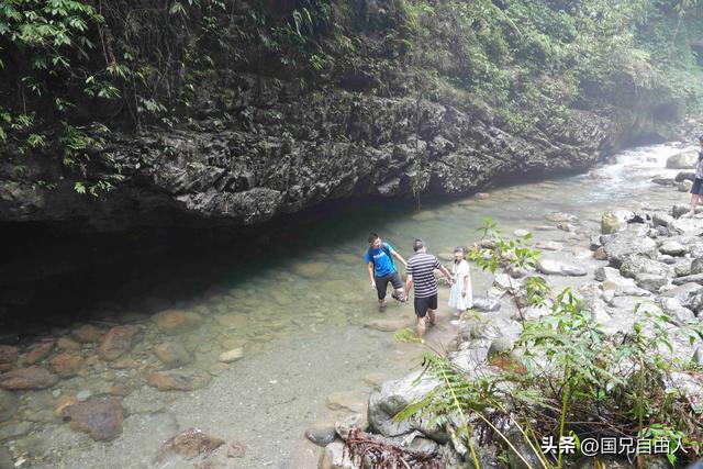 “渝黔生物基因库”黑山谷游记