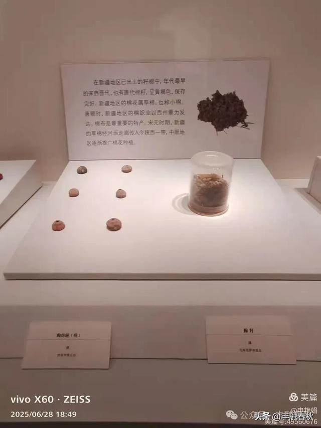 探秘丝路明珠,邂逅巴楚千年文明——走进新疆巴楚博物馆|申艳娟