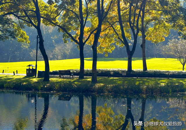 @所有人，杭州秋冬“顶级公园”发力了，绝美如画，出片100%