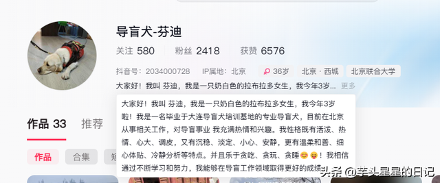 带导盲犬爬山后续：女主渴望被理解，坦言自己没错，澄清不是夫妻