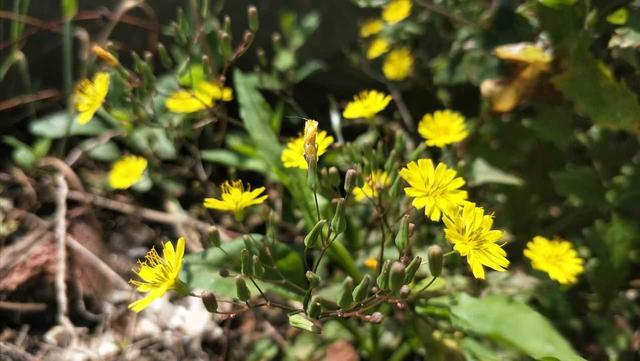 女人退休感悟1：不管有钱没钱，都要帮子女这三个忙，是为自己好