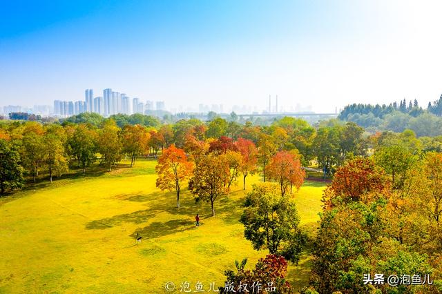 襄阳什么多？公园！公园！公园！
