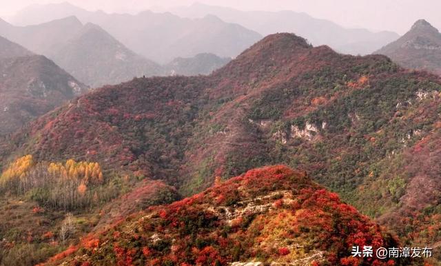 初冬“调色盘”已上线！古林坪红叶进入最佳观赏期，快来打卡！