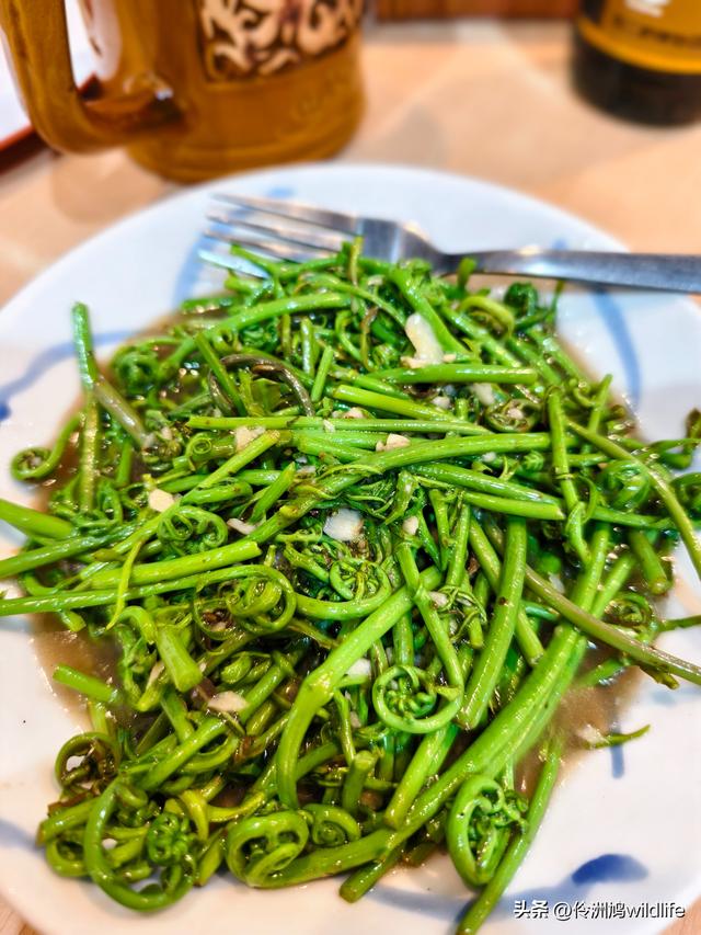 马来西亚(37)砂拉越州⑪告别古晋