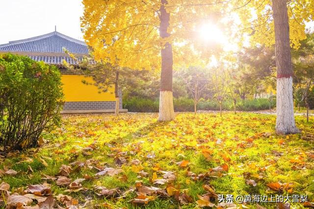 石家庄各辖区名称由来及历史沿革简要