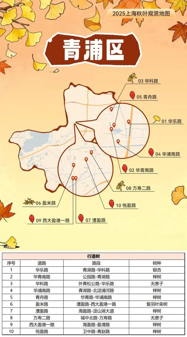 2025上海秋叶地图出炉,徐汇这些点位不可错过!