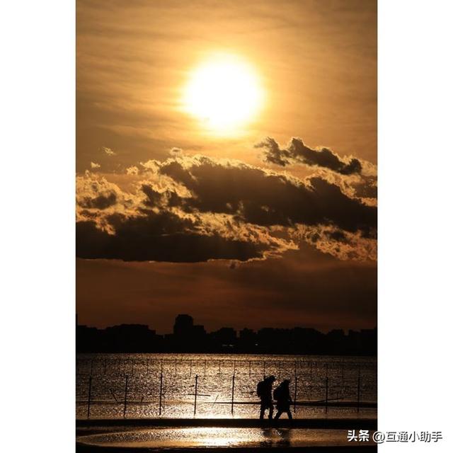 佳能RF200-800mm F6.3-9 IS USM评测！支持800mm焦距的自动对焦镜头