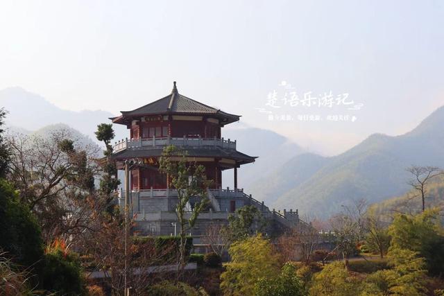 绍兴新昌这处风景少有人来，却是宝藏型桃源秘境，红杉林美不胜收