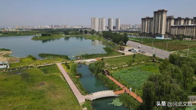 我看泉城 百善骈臻丨寻访母亲泉