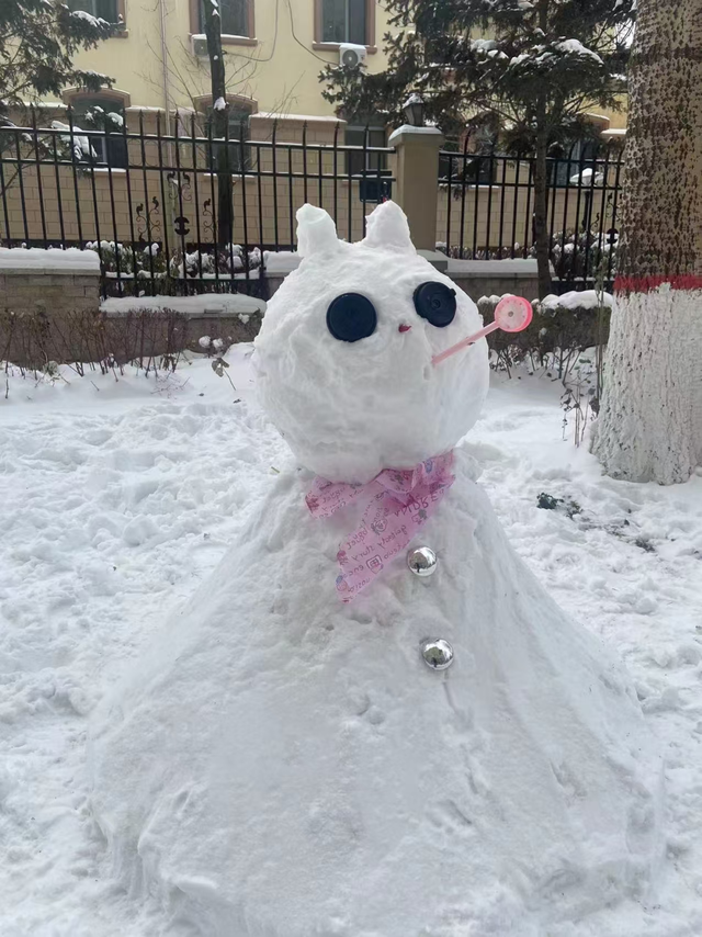 冰城，下雪了