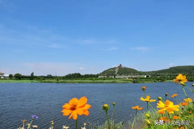 品爆汁肥桃！赏花路秋景！泰安 “小胖城” 一日游就该这么玩！