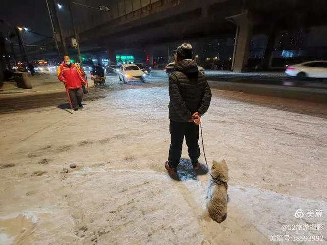 北京下雪啦，每一帧都是冬日限定的浪漫/徐长红图文