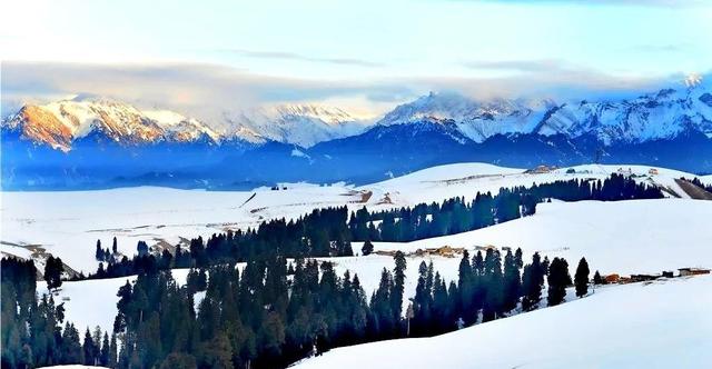 新疆江布拉克雪景，晨曦轻抚白线条	，游客被纯净美景震撼