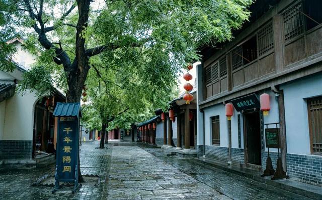 应是天宫打翻了颜料，遗落满城的秋色