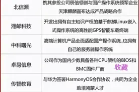 自主可控国产替代产业链概念股大全 ​​​图片