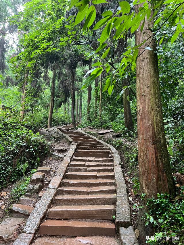 青城山，来过了，说几句