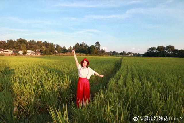 贵州研学在广州美出圈了！非遗+天眼+茶香太惊艳！