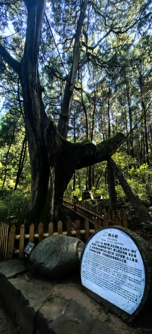 蜀道记行‖从万夫莫开剑门关到三百里翠云廊