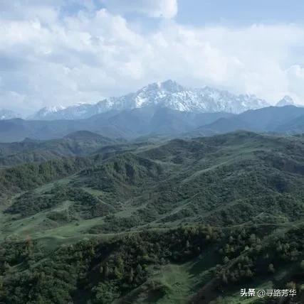 相逢在临夏草长沟的风里