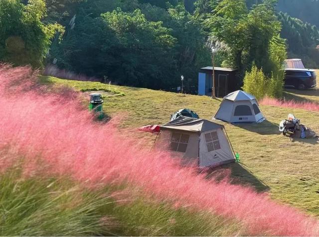 成都秋游宝藏地，周末徒步遛娃看彩林，人少景美还免费，冲鸭！