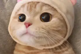 当中高考季撞上生理期，中医如何调理避免痛经？图片