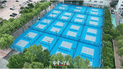 市中·印象 | 山东首座！省级专业匹克球主题公园就在市中！