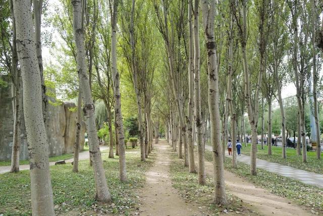 通高铁了，总要去一趟这座五线小城吧，美食和风景都被严重低估了