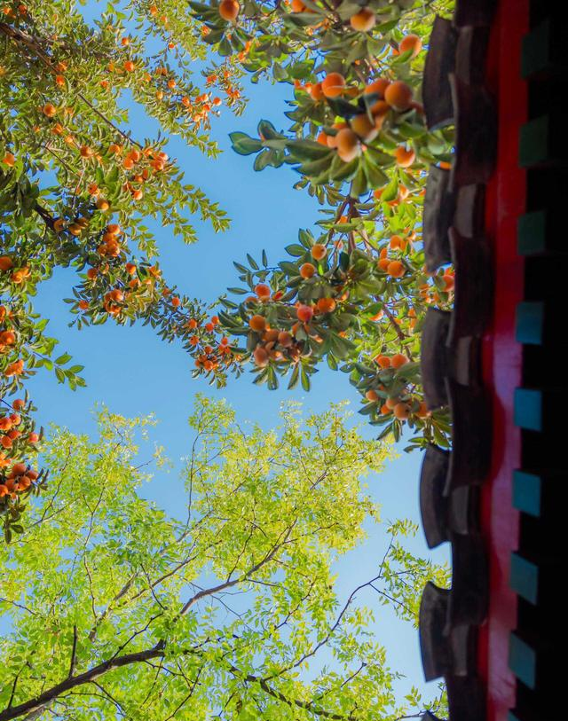 为啥有人越活越通透？3个“保命级”快乐思维，看完想转给所有人