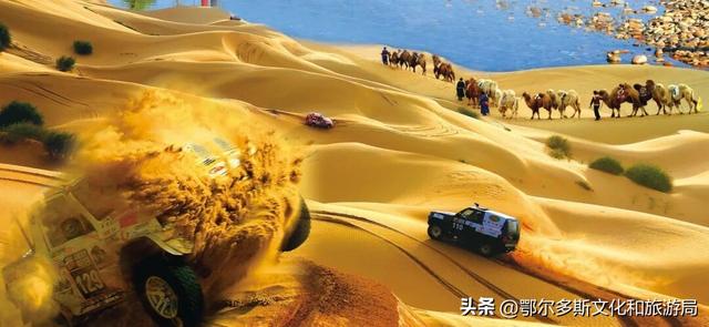 2026跨年去哪儿？鄂尔多斯超多活动承包你的仪式感，音乐、冰雪、萌兽陪你辞旧迎新→