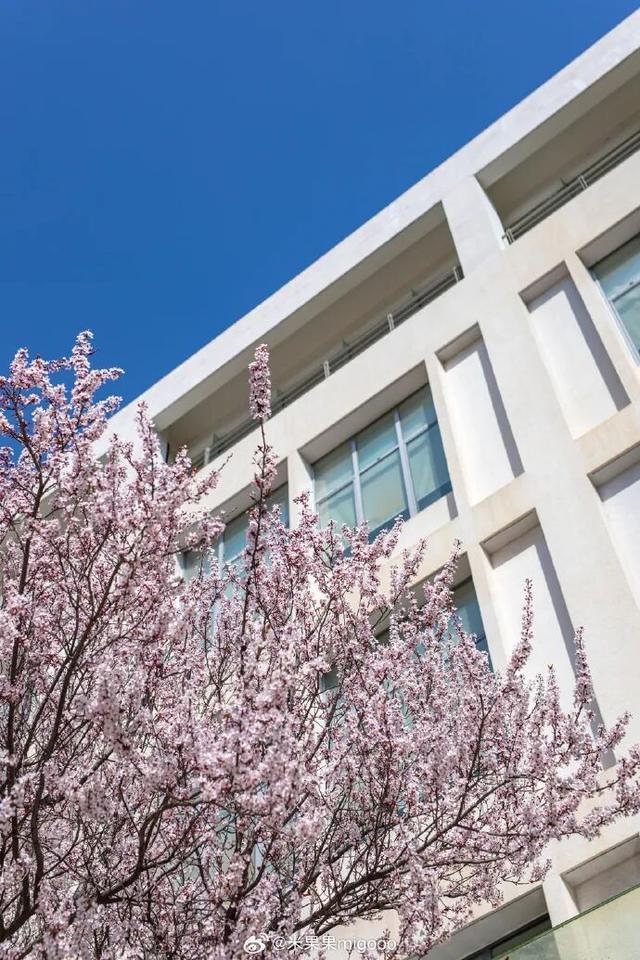 2025四季巡礼！100位寻美客邀你共绘最美泉城图鉴