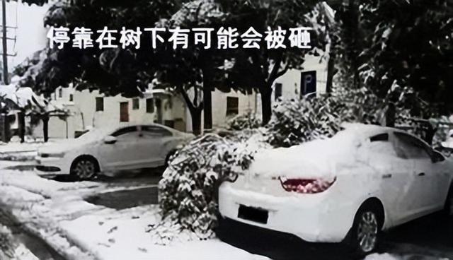 雪҈ 落 陇 南