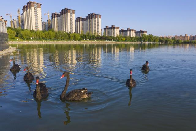 陕西这座千年小城藏不住了！黄河湿地、诗经之乡，西安出发2h直达